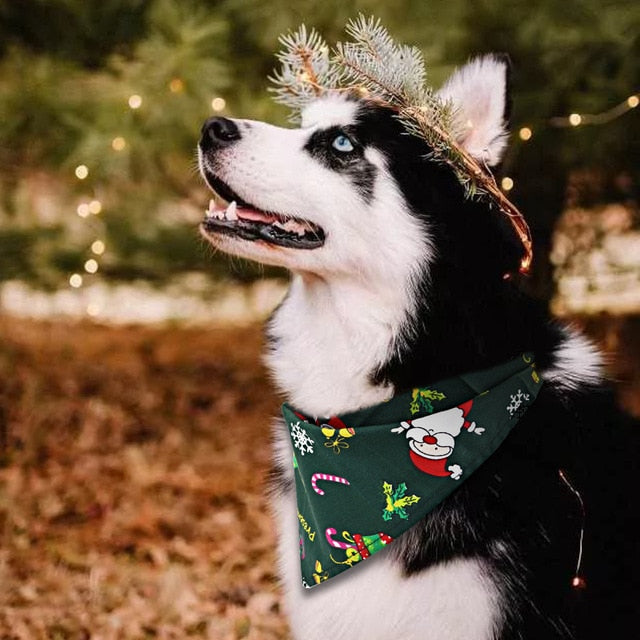 Christmas Dog Bandana