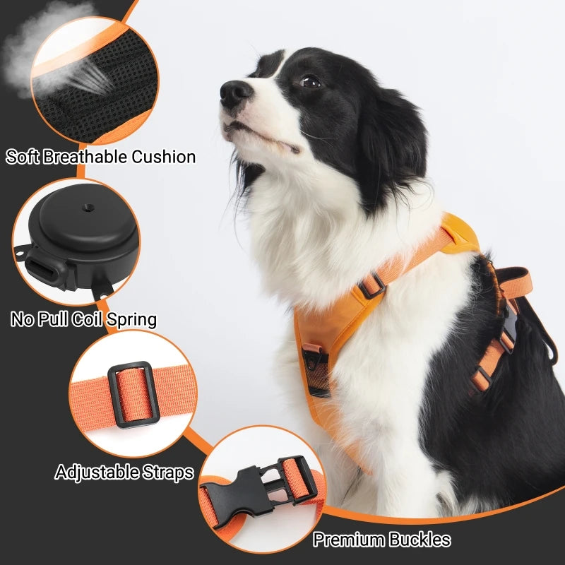 SecureFit Dog Harness & Leash