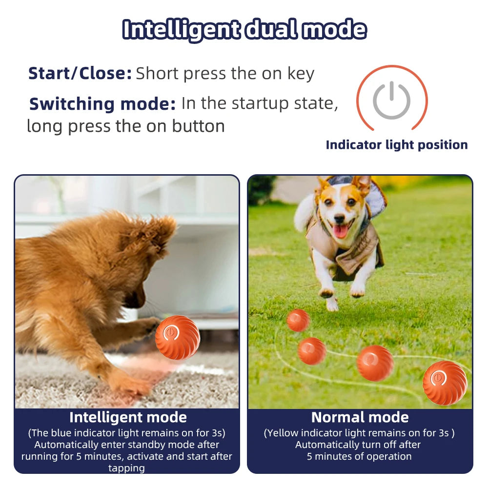 Smart Dog Toy Ball - For Small and Medium-sized Dogs, Cats