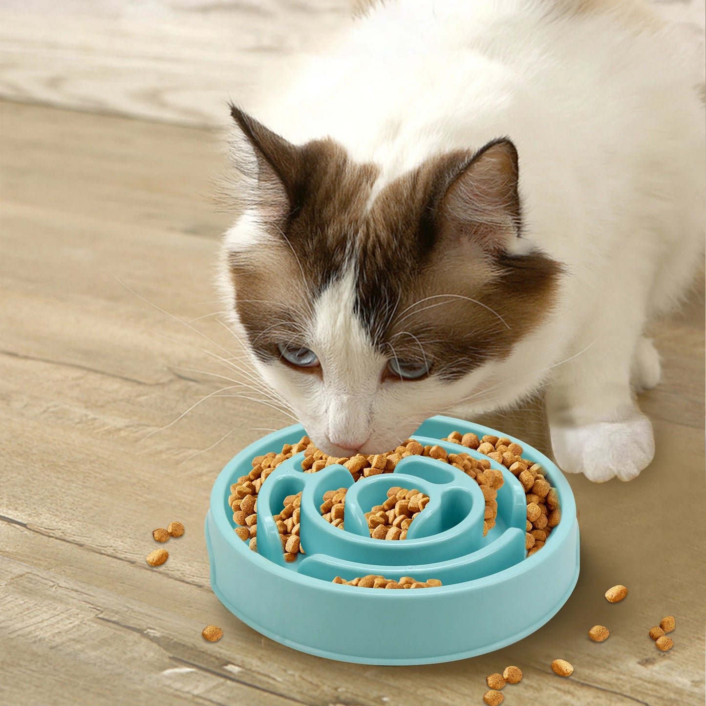 Maze-Style Slow Feeder Bowl For Pets