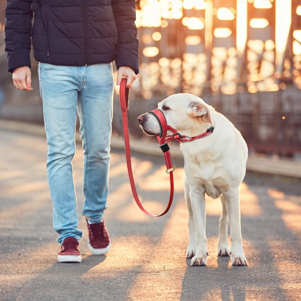 Nylon Reflective Dog Muzzle with Leash