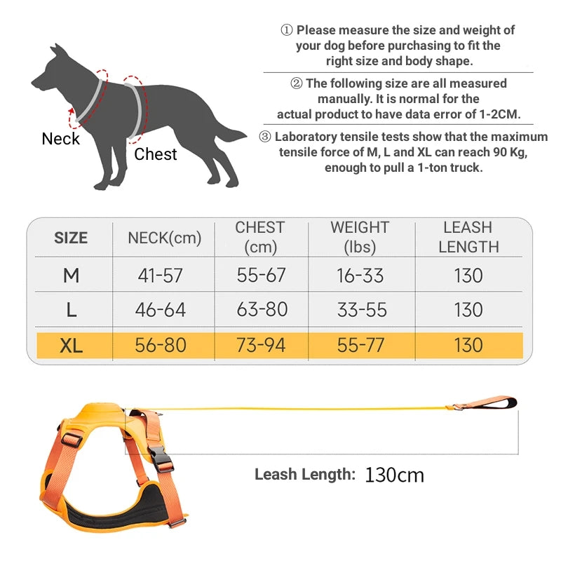 SecureFit Dog Harness & Leash