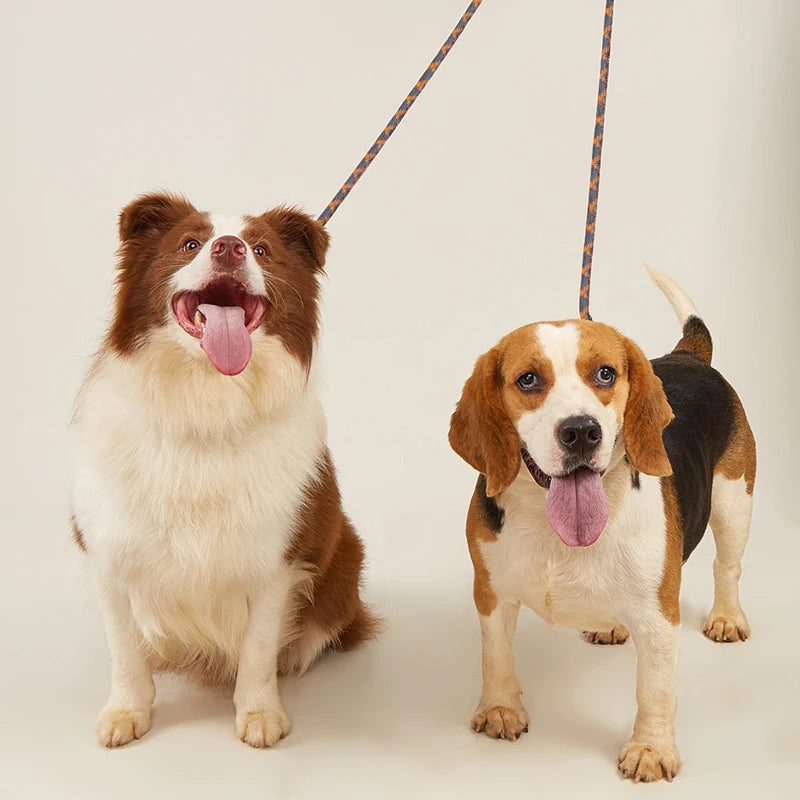 Reflective Hands Free Double Dog Leash - Walk Two Dogs with Ease and Safety!