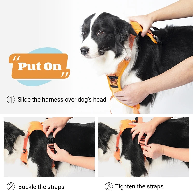 SecureFit Dog Harness & Leash