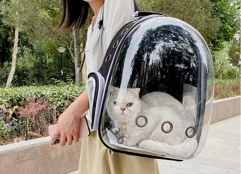 Pet Backpack - Suitable for small pets
