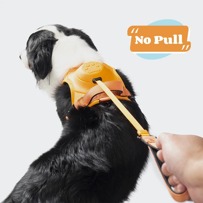 SecureFit Dog Harness & Leash