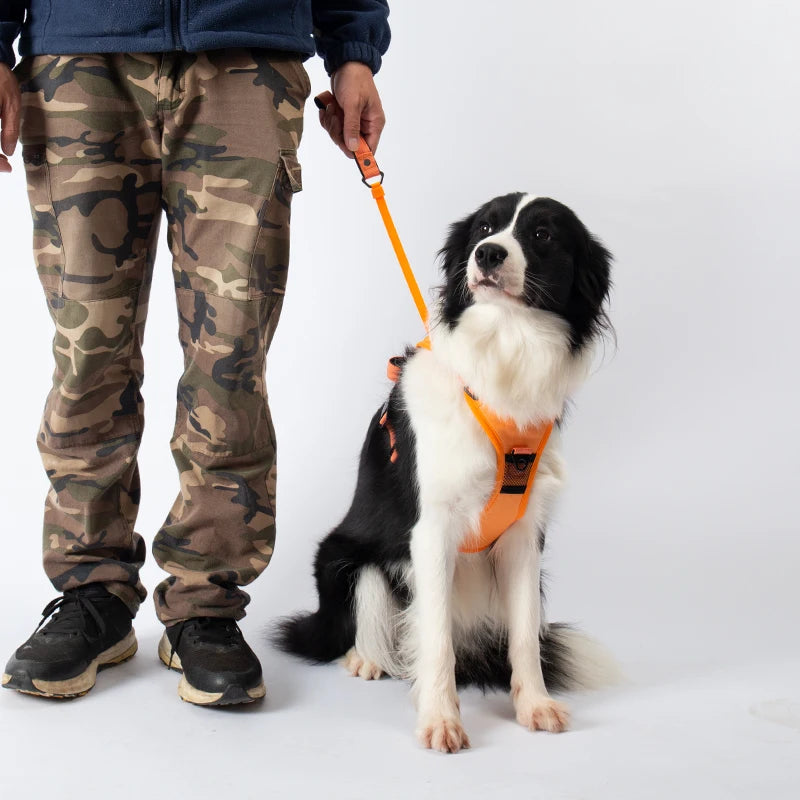 SecureFit Dog Harness & Leash