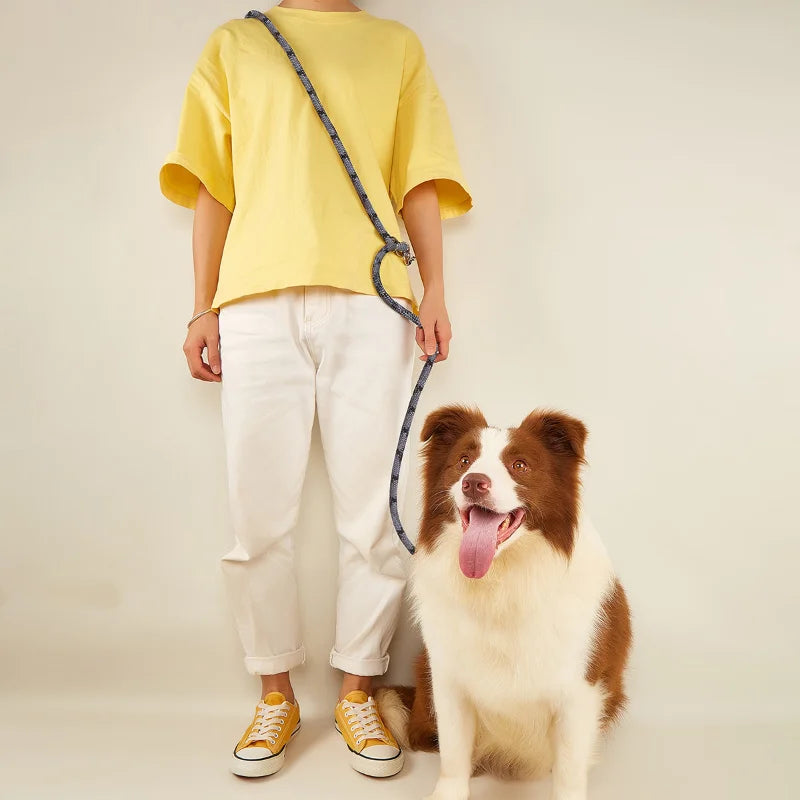 Reflective Hands Free Double Dog Leash - Walk Two Dogs with Ease and Safety!