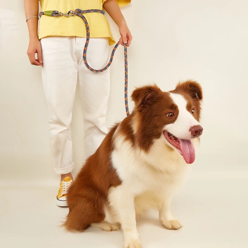 Reflective Hands Free Double Dog Leash - Walk Two Dogs with Ease and Safety!