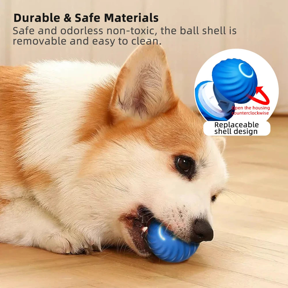 Smart Dog Toy Ball - For Small and Medium-sized Dogs, Cats