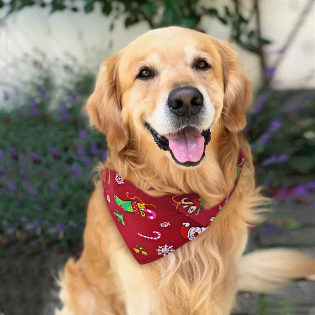 Christmas Dog Bandana
