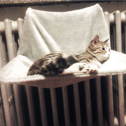 Soft Cat Hammock Deluxe Removable Window Sill Cat Radiator Bed