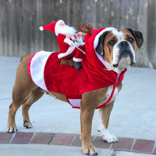 Christmas Santa Claus Riding Deer Dog Costume