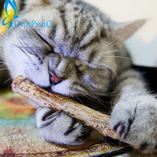5 Pieces/Set Cat Pure Natural Catnip