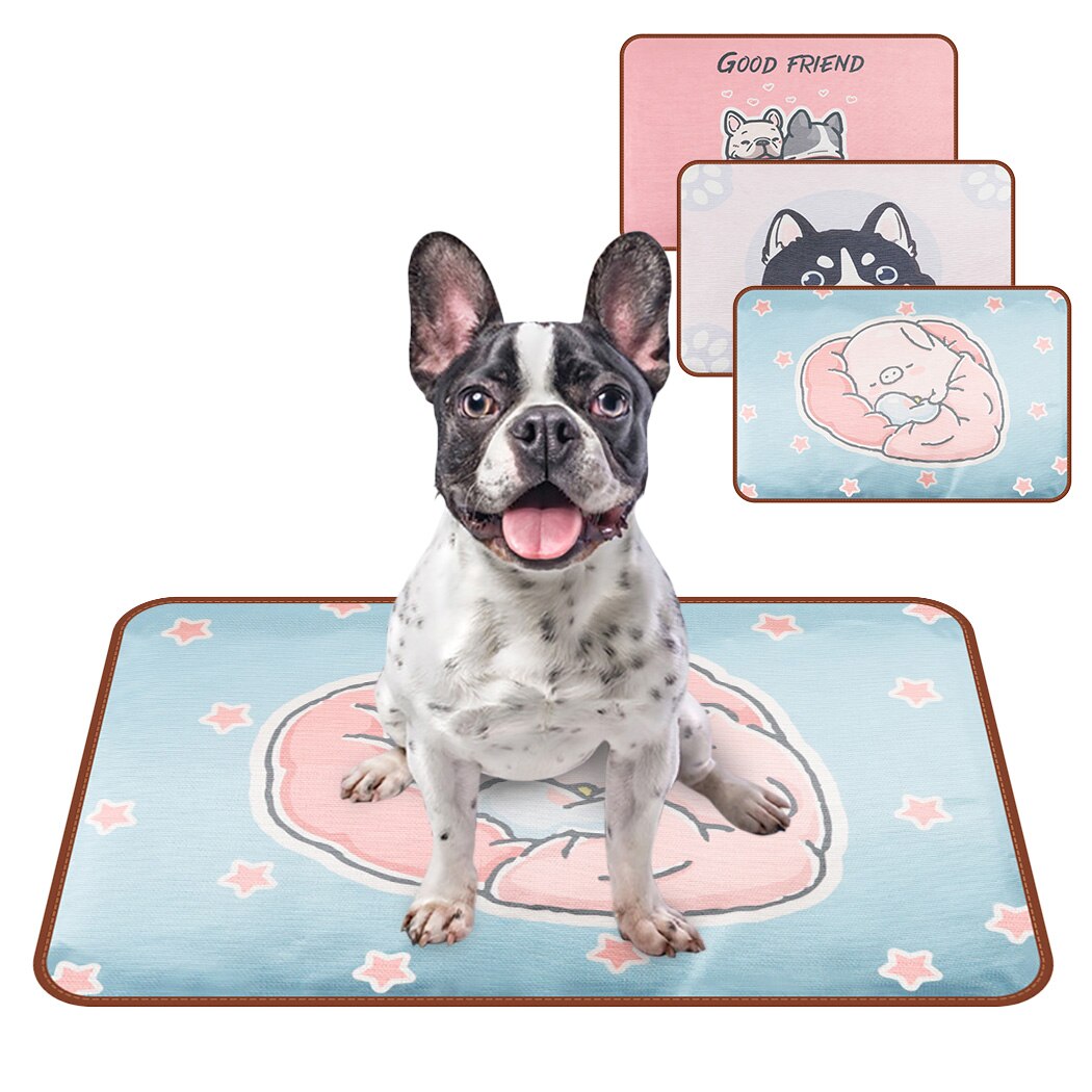 Cartoon Pet Ice Sleep Pad