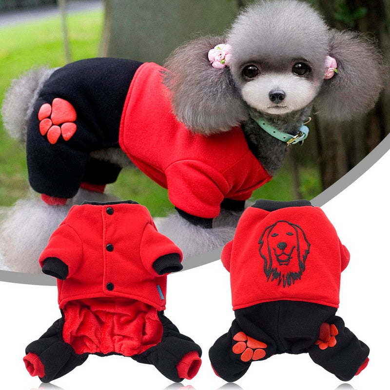 Small Dog Cartoon Bear Coat